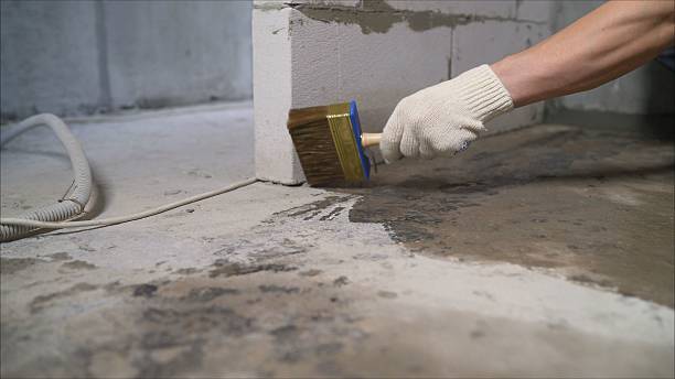 SJ Waterproofing Pros Basement Waterproofing coverage map for Fenwick, MI and surrounding area